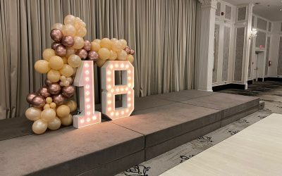 Niagara Falls Balloon Décor Service