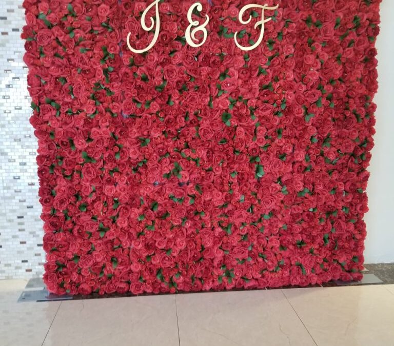 Red Roses Flower Wall Waterloo
