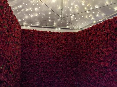 Red Roses Flower Wall -Mississauga Party Rentals Ideas