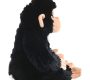 baby-chimp-monkey-rental