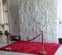 red-carpet-rental-710-feet