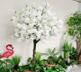 cherry-blossom-tree-white